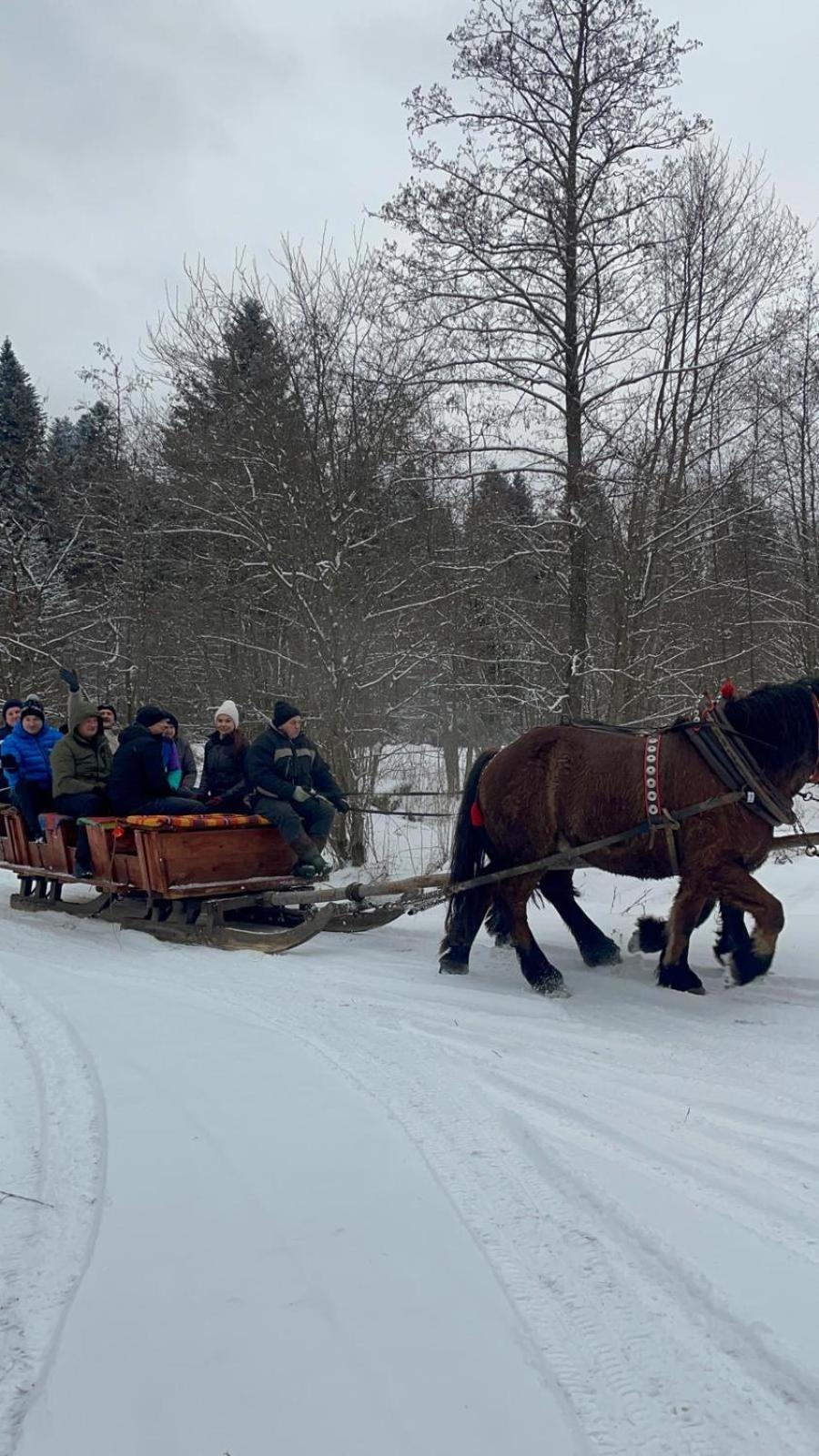 Latarnia Wagabundy Bieszczady Hotel Wola Michowa Eksteriør billede