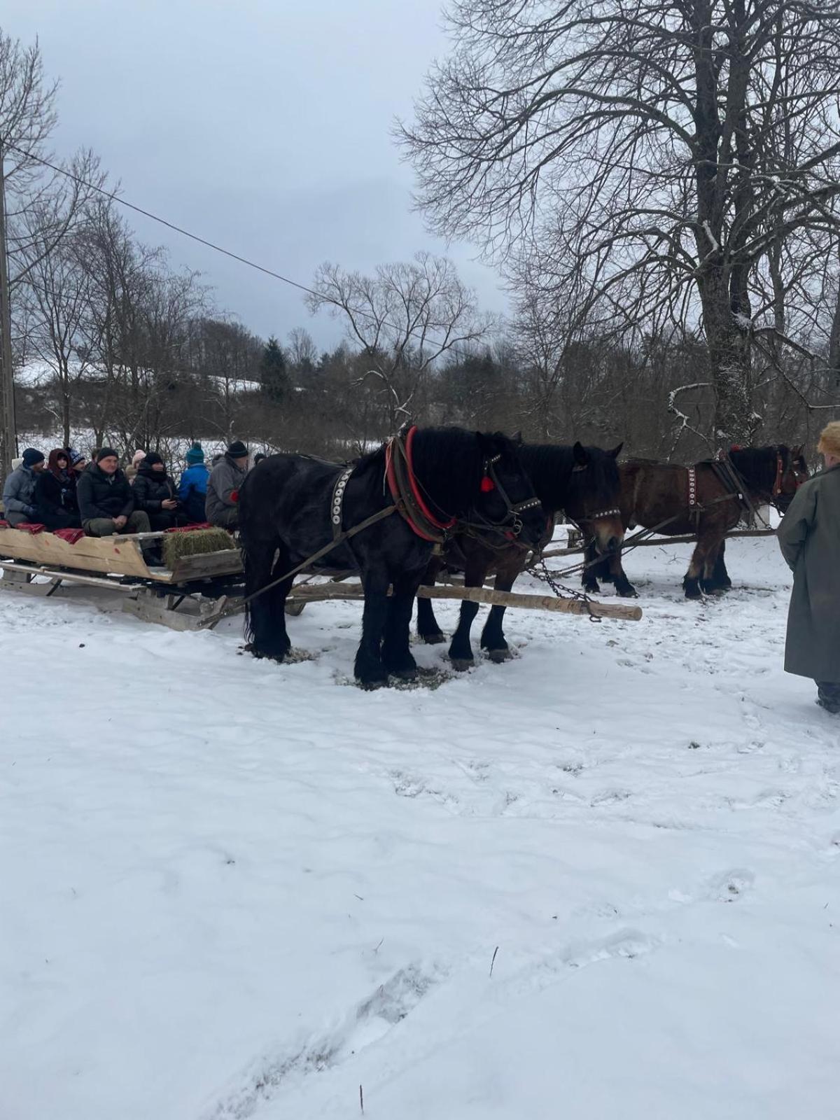 Latarnia Wagabundy Bieszczady Hotel Wola Michowa Eksteriør billede