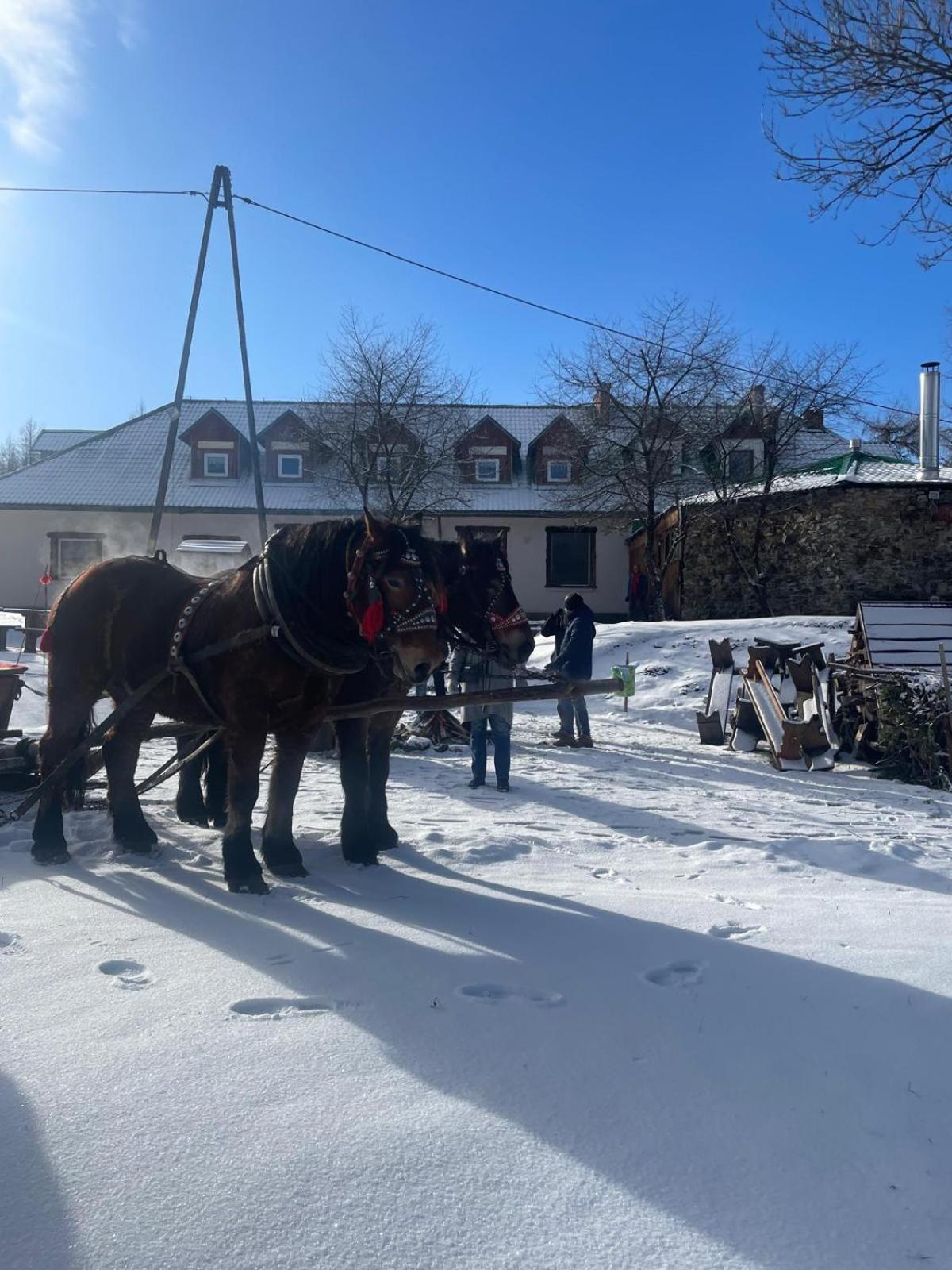Latarnia Wagabundy Bieszczady Hotel Wola Michowa Eksteriør billede
