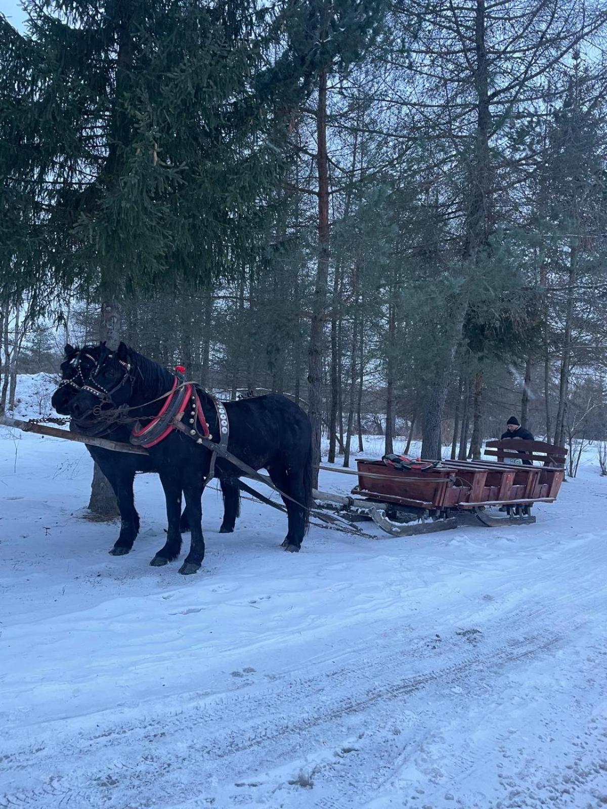 Latarnia Wagabundy Bieszczady Hotel Wola Michowa Eksteriør billede