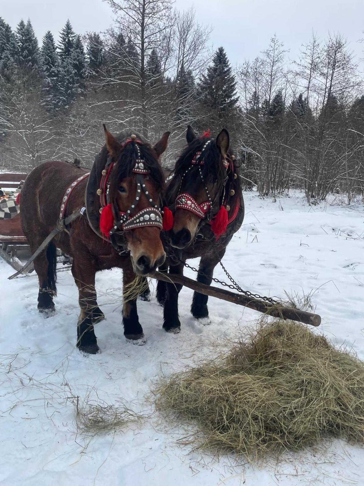 Latarnia Wagabundy Bieszczady Hotel Wola Michowa Eksteriør billede